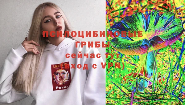 прущая мука Армянск
