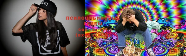 прущая мука Армянск